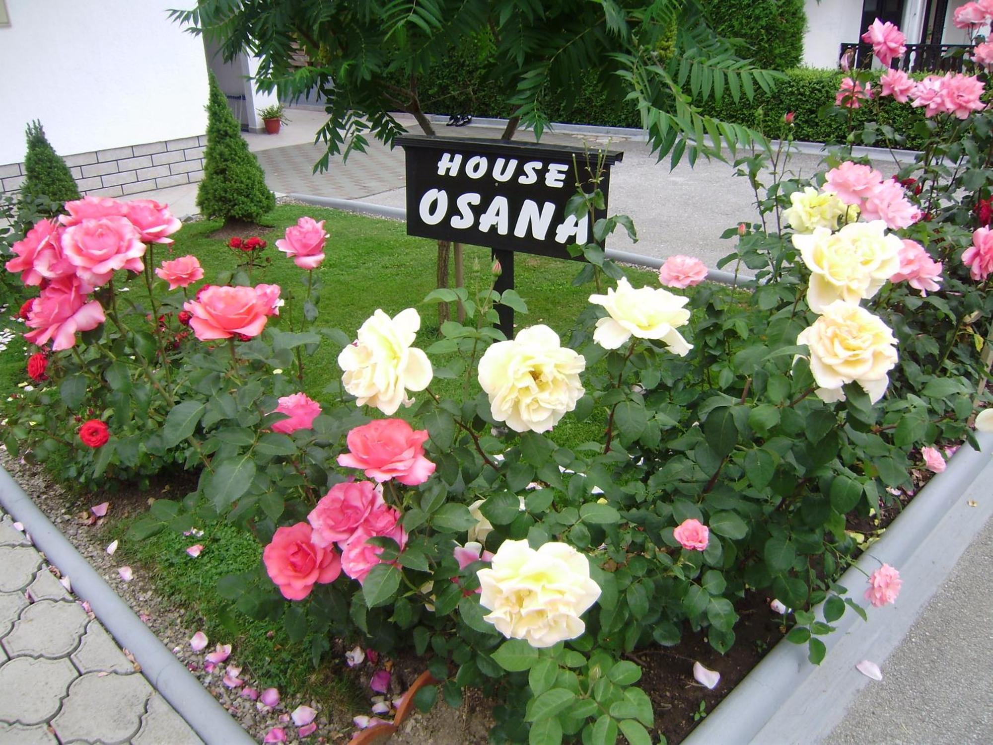 House Osana Hotell Grabovac  Exteriör bild